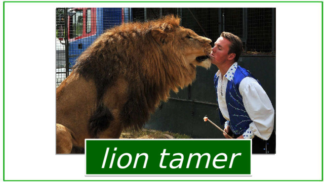 lion tamer 