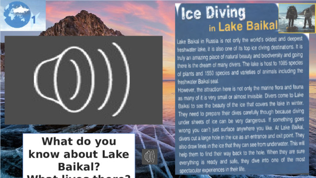 What do you know about Lake Baikal? What lives there?  