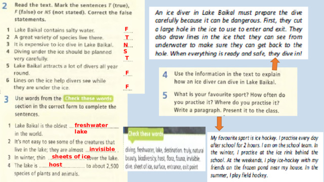 F T NS T F F freshwater lake invisible sheets of ice host 