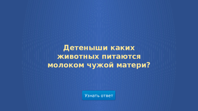 Детеныши каких животных питаются молоком чужой матери? Узнать ответ  