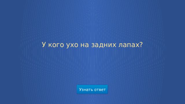 У кого ухо на задних лапах? Узнать ответ  
