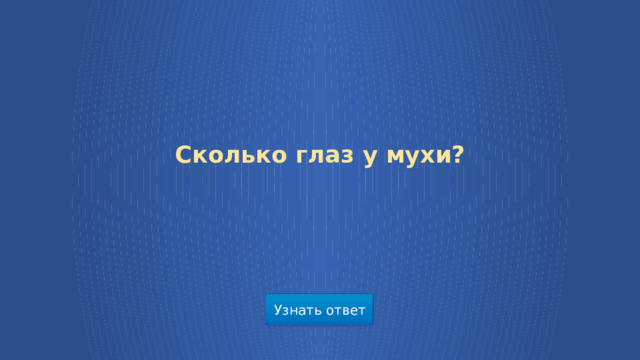 Сколько глаз у мухи? Узнать ответ  