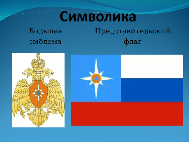  Большая Представительский  эмблема флаг 