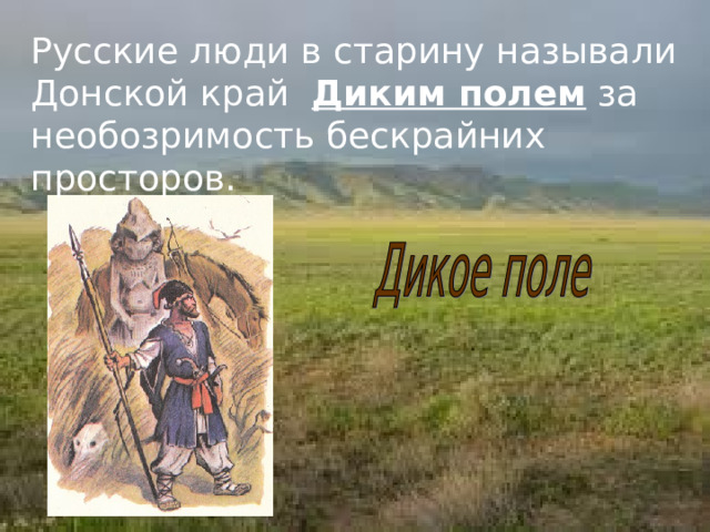 Русские люди в старину называли Донской край Диким полем за необозримость бескрайних просторов. 