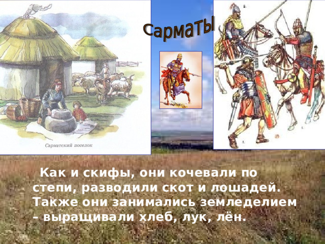  Как и скифы, они кочевали по степи, разводили скот и лошадей. Также они занимались земледелием – выращивали хлеб, лук, лён. 