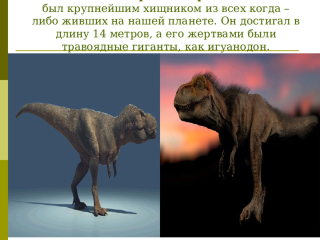                  Тираннозавр  был крупнейшим хищником из всех когда – либо живших на нашей планете. Он достигал в длину 14 метров, а его жертвами были травоядные гиганты, как игуанодон.   