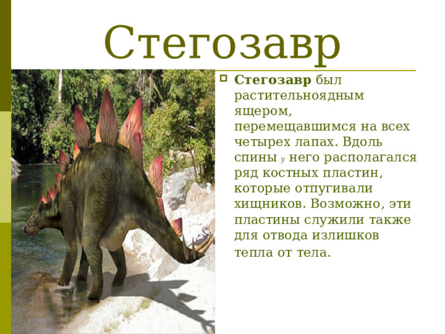 Стегозавр Стегозавр был растительноядным ящером, перемещавшимся на всех четырех лапах. Вдоль спины у него располагался ряд костных пластин, которые отпугивали хищников. Возможно, эти пластины служили также для отвода излишков тепла от тела.  