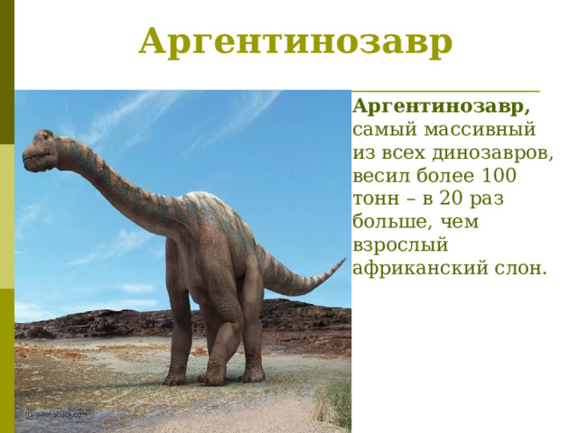 Аргентинозавр Аргентинозавр, самый массивный из всех динозавров, весил более 100 тонн – в 20 раз больше, чем взрослый африканский слон. 