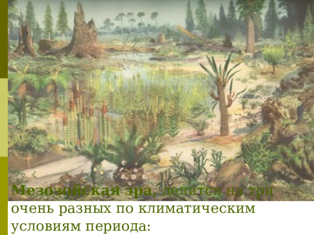 Мезозойская эра, делится на три очень разных по климатическим условиям периода: 