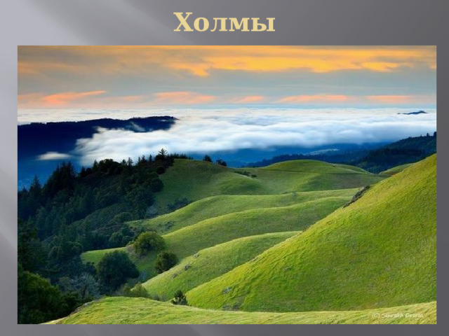 Холмы 
