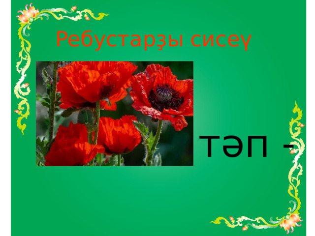 Ребустарҙы сисеү        тәп - 