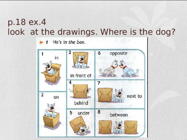 p.18 ex.4  look at the drawings. Where is the dog? 