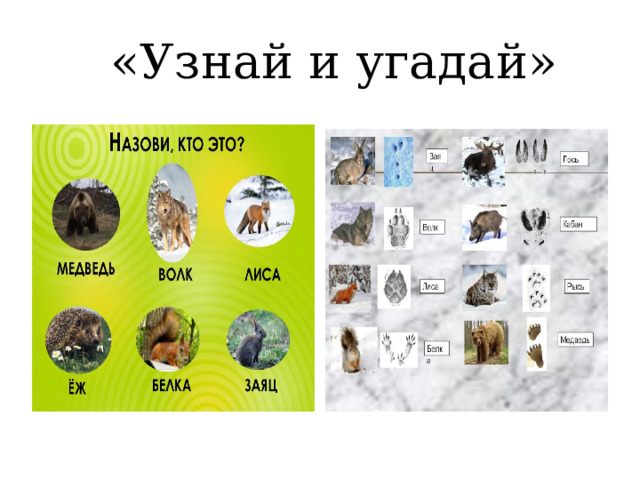   «Узнай и угадай» 