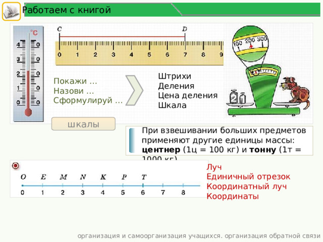 Работаем с книгой Штрихи Деления Цена деления Шкала Покажи … Назови … Сформулируй … шкалы При взвешивании больших предметов применяют другие единицы массы: центнер (1ц = 100 кг) и тонну (1т = 1000 кг). Луч Единичный отрезок Координатный луч Координаты организация и самоорганизация учащихся. организация обратной связи 5 