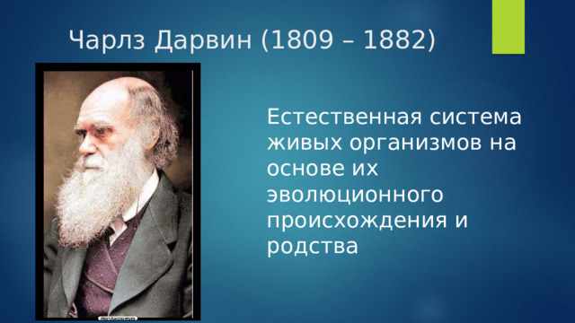Чарлз Дарвин (1809 – 1882) Естественная система живых организмов на основе их эволюционного происхождения и родства 