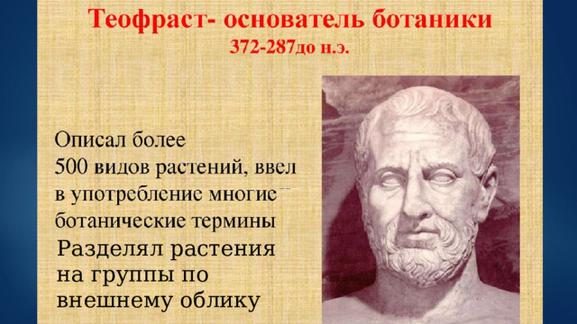Разделял растения на группы по внешнему облику 