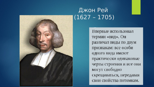 Джон Рей  (1627 – 1705) 