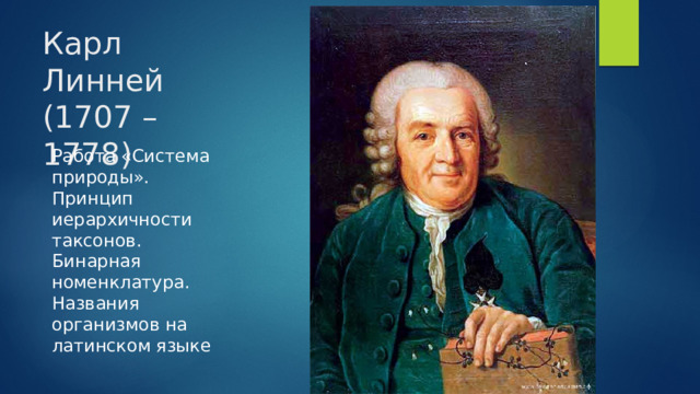 Карл Линней (1707 – 1778) Работа «Система природы». Принцип иерархичности таксонов. Бинарная номенклатура. Названия организмов на латинском языке 