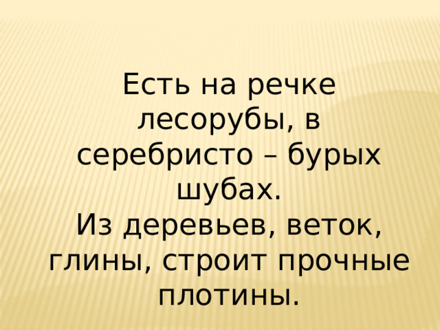 Есть на речке лесорубы, в серебристо – бурых шубах. Из деревьев, веток, глины, строит прочные плотины. 