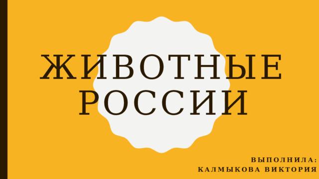 Животные россии Выполнила: Калмыкова Виктория 
