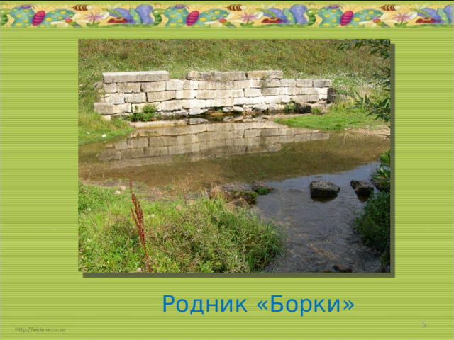  Родник «Борки»  