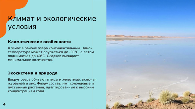 Климат и экологические условия   Климатические особенности  Климат в районе озера континентальный. Зимой температура может опускаться до -30°C, а летом подниматься до 40°C. Осадков выпадает минимальное количество. Экосистема и природа  Вокруг озера обитают птицы и животные, включая журавлей и лис. Флору составляют солонцовые и пустынные растения, адаптированные к высоким концентрациям соли.  4 