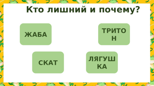 Кто лишний и почему? ЖАБА ТРИТОН СКАТ ЛЯГУШКА 