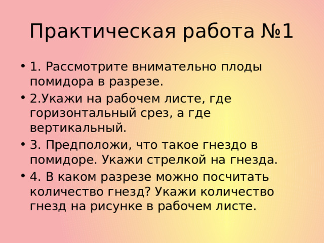 Практическая работа №1 1. Рассмотрите внимательно плоды помидора в разрезе. 2.Укажи на рабочем листе, где горизонтальный срез, а где вертикальный. 3. Предположи, что такое гнездо в помидоре. Укажи стрелкой на гнезда. 4. В каком разрезе можно посчитать количество гнезд? Укажи количество гнезд на рисунке в рабочем листе. 