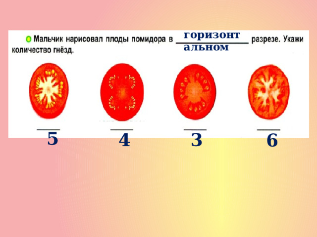 горизонтальном 5 4 3 6 
