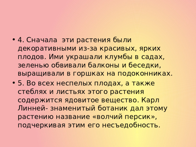 4. Сначала эти растения были декоративными из-за красивых, ярких плодов. Ими украшали клумбы в садах, зеленью обвивали балконы и беседки, выращивали в горшках на подоконниках. 5. Во всех неспелых плодах, а также стеблях и листьях этого растения содержится ядовитое вещество. Карл Линней- знаменитый ботаник дал этому растению название «волчий персик», подчеркивая этим его несъедобность. 