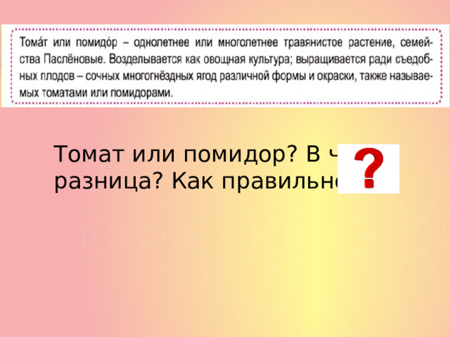 Томат или помидор? В чем разница? Как правильно? 