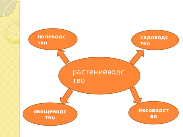 полеводство садоводство растениеводство лесоводство овощеводство 