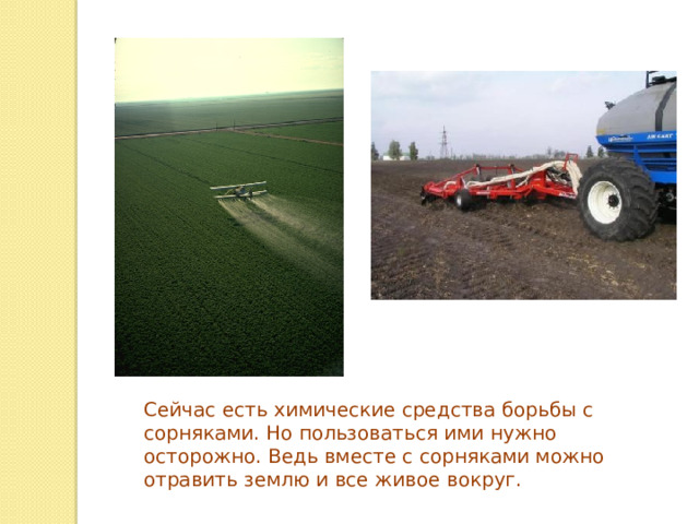 Сейчас есть химические средства борьбы с сорняками. Но пользоваться ими нужно осторожно. Ведь вместе с сорняками можно отравить землю и все живое вокруг. 