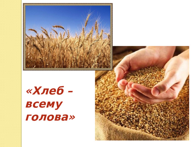 «Хлеб – всему голова» 