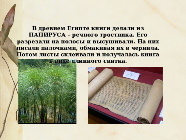В древнем Египте книги делали из ПАПИРУСА – речного тростника. Его разрезали на полосы и высушивали. На них писали палочками, обмакивая их в чернила. Потом листы склеивали и получалась книга в виде длинного свитка. 