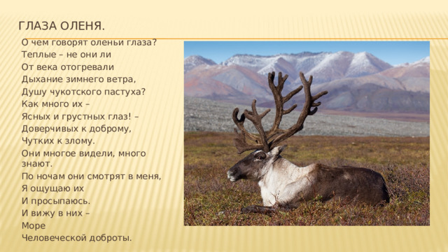 ГЛАЗА ОЛЕНЯ.   О чем говорят оленьи глаза? Теплые – не они ли От века отогревали Дыхание зимнего ветра, Душу чукотского пастуха? Как много их – Ясных и грустных глаз! – Доверчивых к доброму, Чутких к злому. Они многое видели, много знают. По ночам они смотрят в меня, Я ощущаю их И просыпаюсь. И вижу в них – Море Человеческой доброты. 