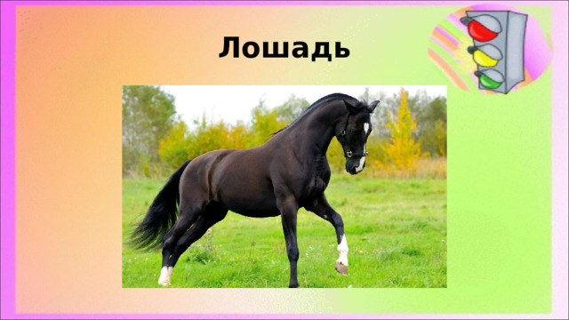 Лошадь 