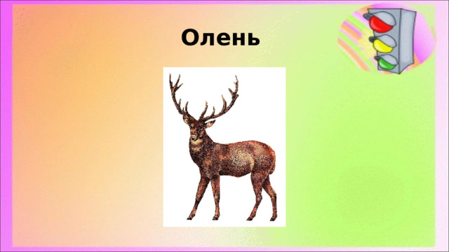 Олень 