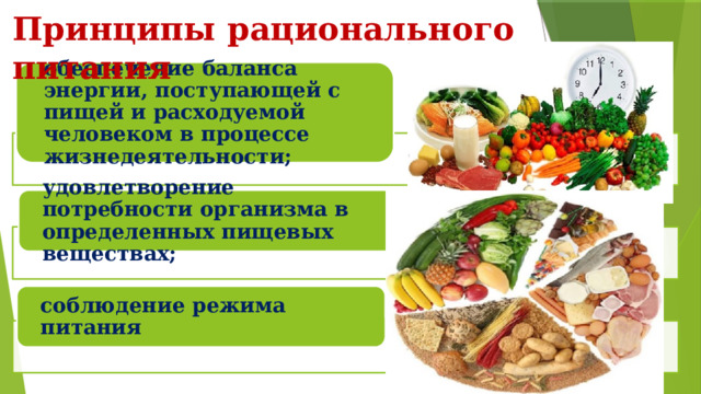 Принципы рационального питания обеспечение баланса энергии, поступающей с пищей и расходуемой человеком в процессе жизнедеятельности; удовлетворение потребности организма в определенных пищевых веществах; соблюдение режима питания 