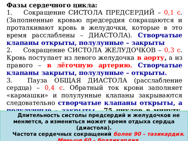 Фазы сердечного цикла: 1.     Сокращение СИСТОЛА ПРЕДСЕРДИЙ – 0,1 с . (Заполненные кровью предсердия сокращаются и проталкивают кровь в желудочки, которые в это время расслаблены – ДИАСТОЛА). Створчатые клапаны открыты, полулунные – закрыты 2.     Сокращение СИСТОЛА ЖЕЛУДОЧКОВ – 0,3 с . Кровь поступает из левого желудочка  в аорту , а из правого –  в лёгочную артерию. Створчатые клапаны закрыты, полулунные – открыты. 3.     Пауза ОБЩАЯ ДИАСТОЛА (расслабление сердца) – 0,4 с . Обратный ток крови заполняет «кармашки» и полулунные клапаны закрываются следовательно створчатые клапаны открыты, а полулунные – закрыты. 75 циклов в минуту. (ЧСС 60-80 норма ) Длительность систолы предсердий и желудочков не меняется, а измениться может время отдыха сердца (диастола). Частота сердечных сокращений более 90 – тахикардия. Меньше 60 – брадикардия. 