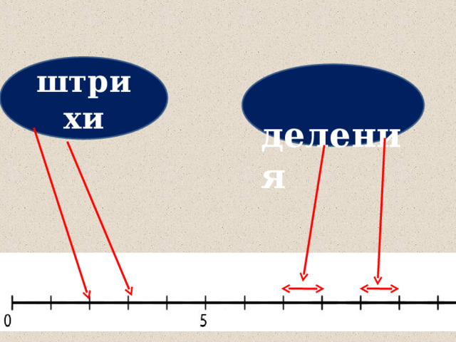   деления штрихи 