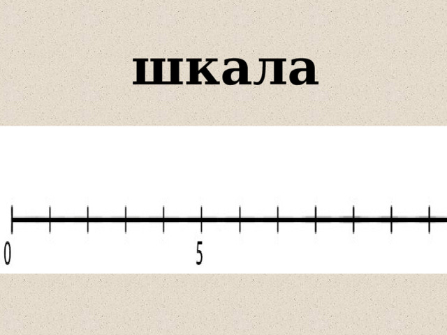 шкала 