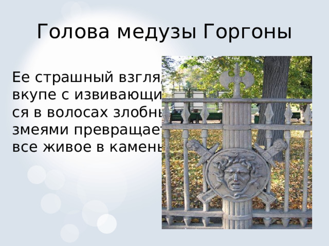 Голова медузы Горгоны Ее страшный взгляд вкупе с извивающими- ся в волосах злобными змеями превращает все живое в камень. 