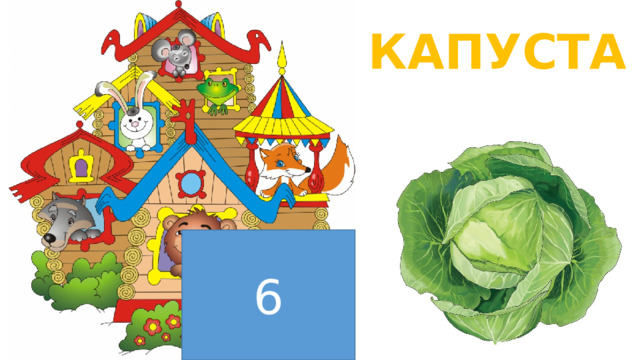 КАПУСТА 6  