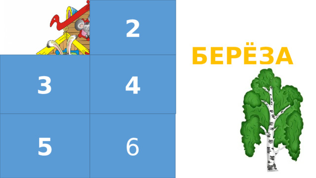 2 БЕРЁЗА 3 4 5 6 