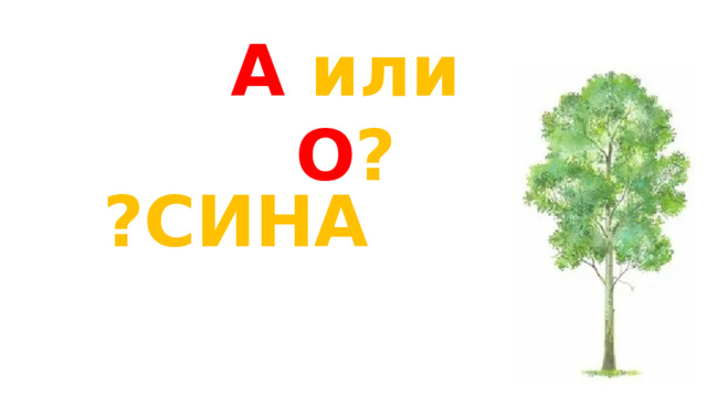 А или О ? ?СИНА 