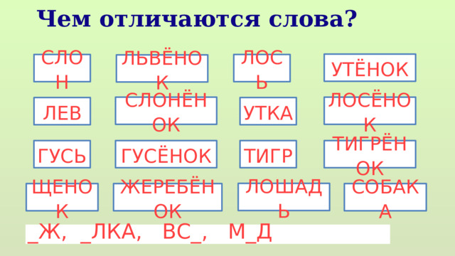 Чем отличаются слова? УТЁНОК СЛОН ЛОСЬ ЛЬВЁНОК СЛОНЁНОК ЛОСЁНОК ЛЕВ УТКА ГУСЬ ГУСЁНОК ТИГР ТИГРЁНОК ЛОШАДЬ ЩЕНОК ЖЕРЕБЁНОК СОБАКА _Ж, _ЛКА, ВС_, М_Д 