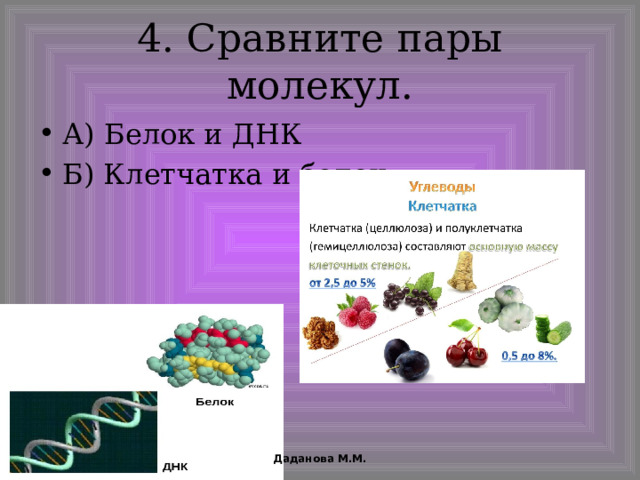 4. Сравните пары молекул. А) Белок и ДНК Б) Клетчатка и белок Даданова М.М. 