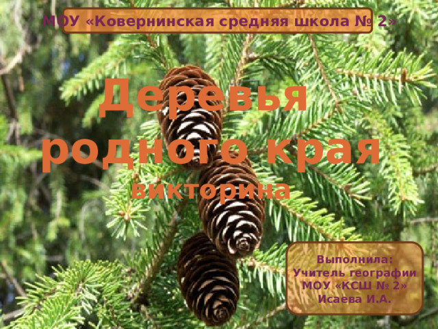 МОУ «Ковернинская средняя школа № 2» Деревья родного края викторина Выполнила: Учитель географии МОУ «КСШ № 2»  Исаева И.А. 