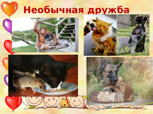 Необычная дружба 